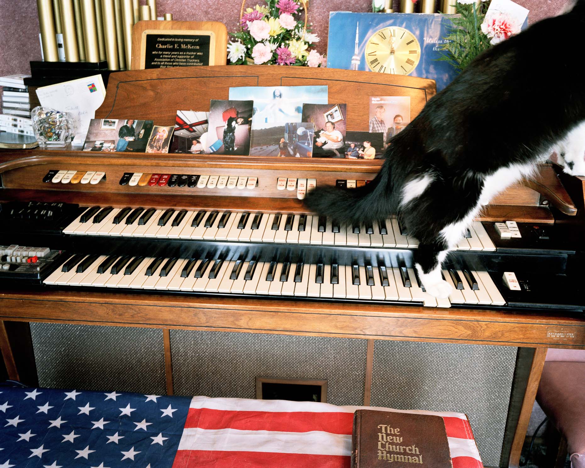 organ16Master